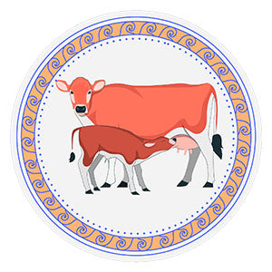 Shiva Dairy Private Limited